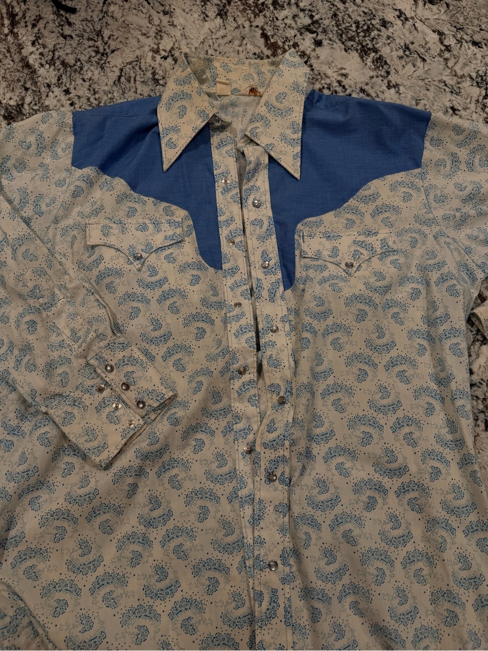 Men's Western-Style Pearl Button-Up Shirt in Blue Paisley